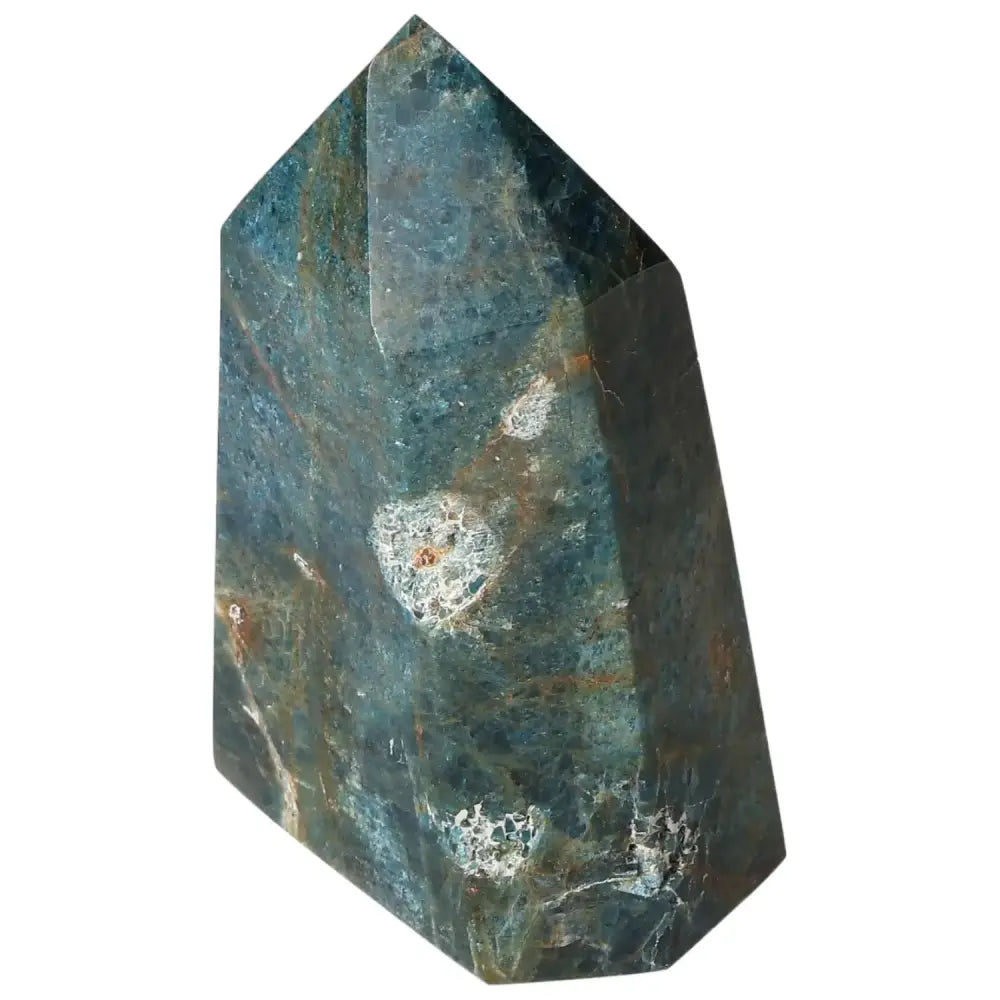 orbitvu|type:image2d