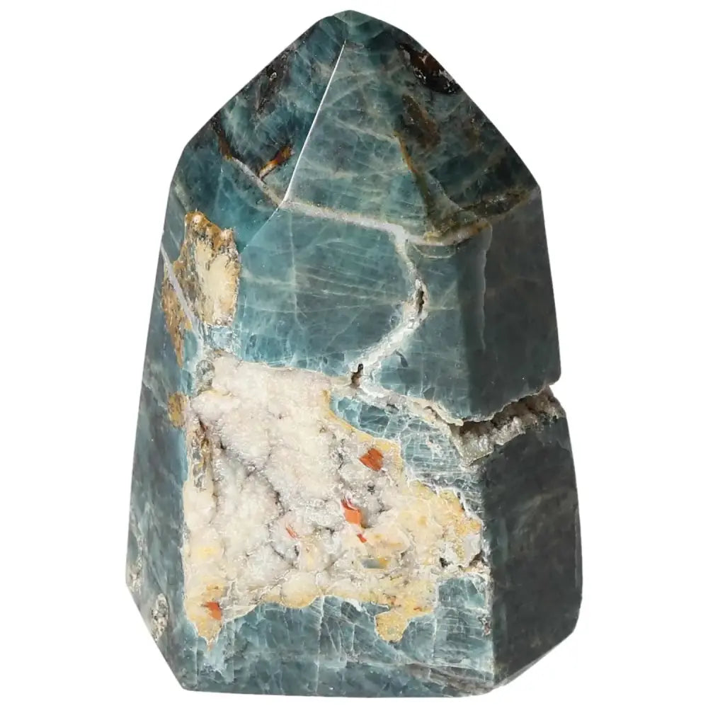 orbitvu|type:image2d