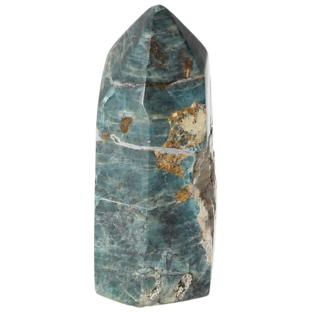 orbitvu|type:image2d