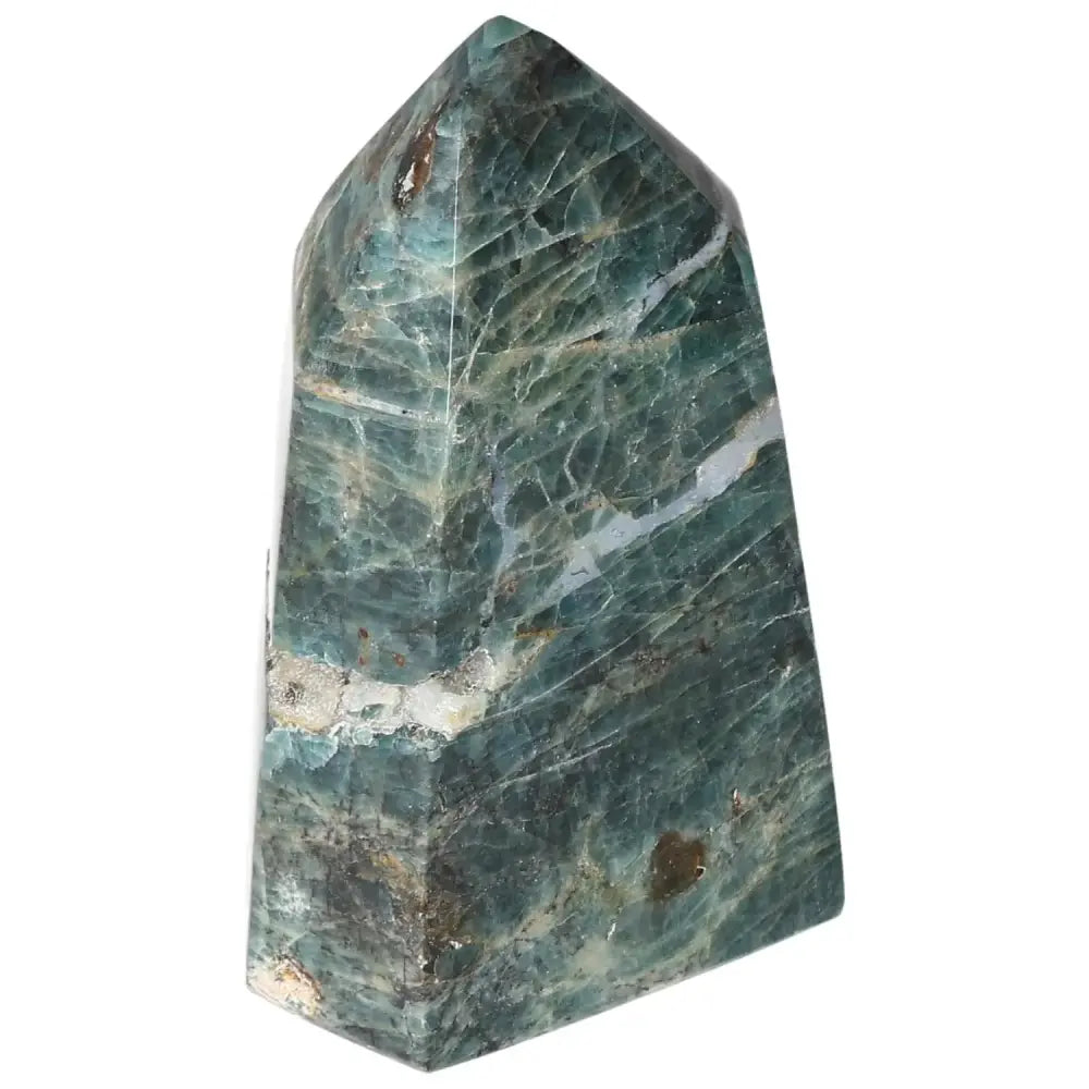 orbitvu|type:image2d