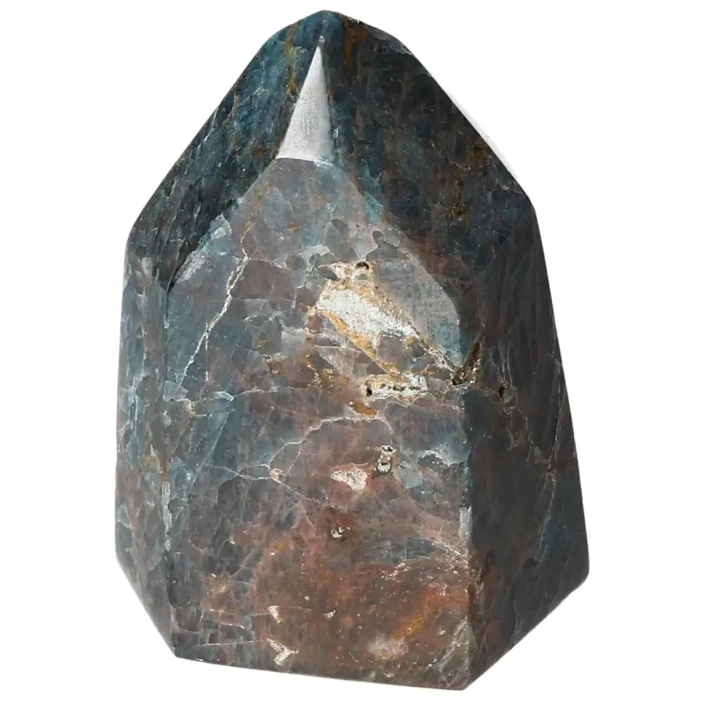 orbitvu|type:image2d