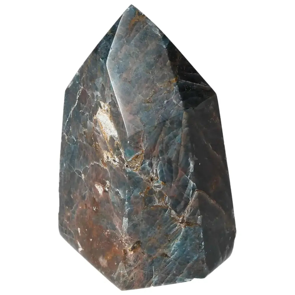 orbitvu|type:image2d