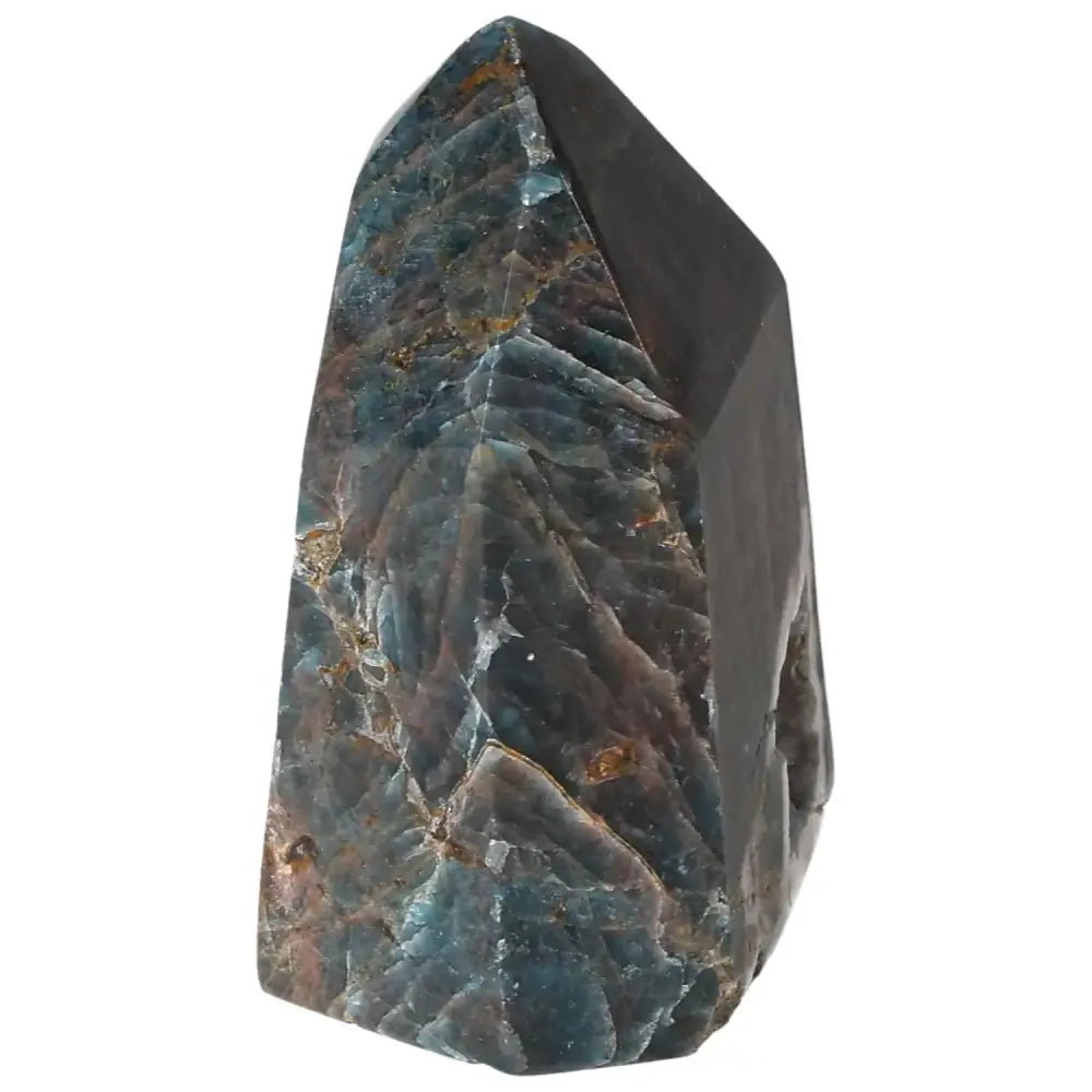 orbitvu|type:image2d