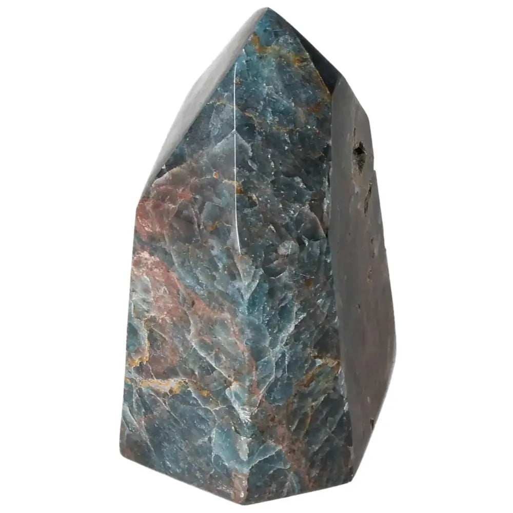 orbitvu|type:image2d