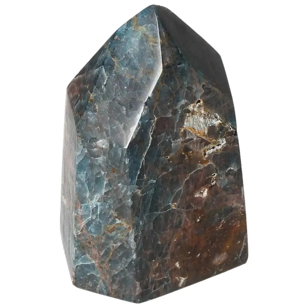 orbitvu|type:image2d