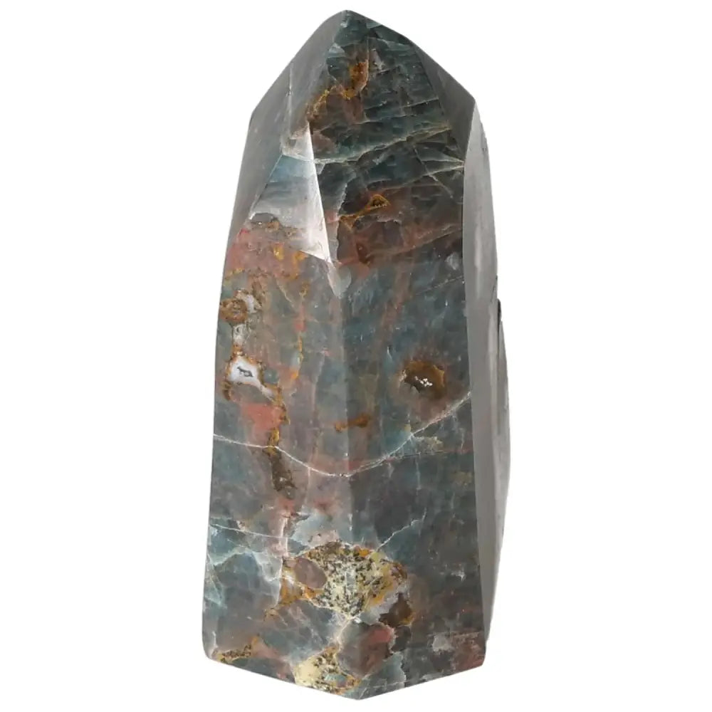 orbitvu|type:image2d