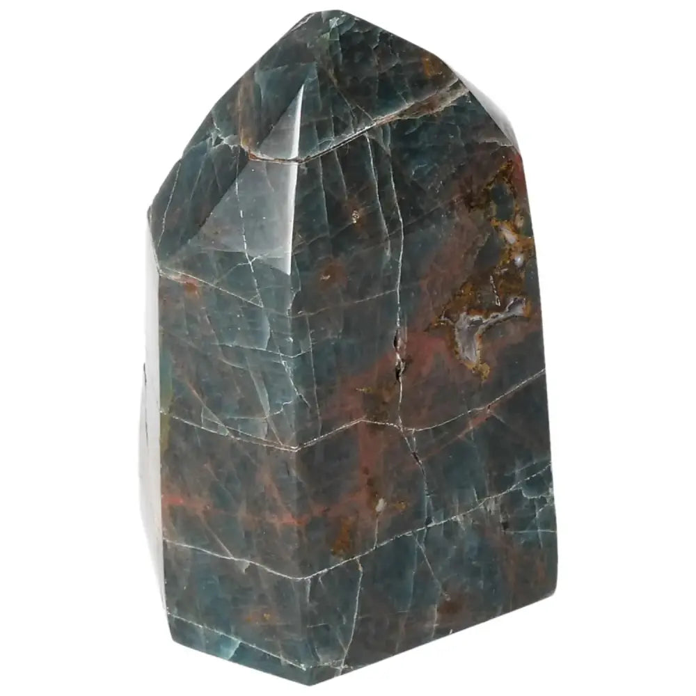 orbitvu|type:image2d