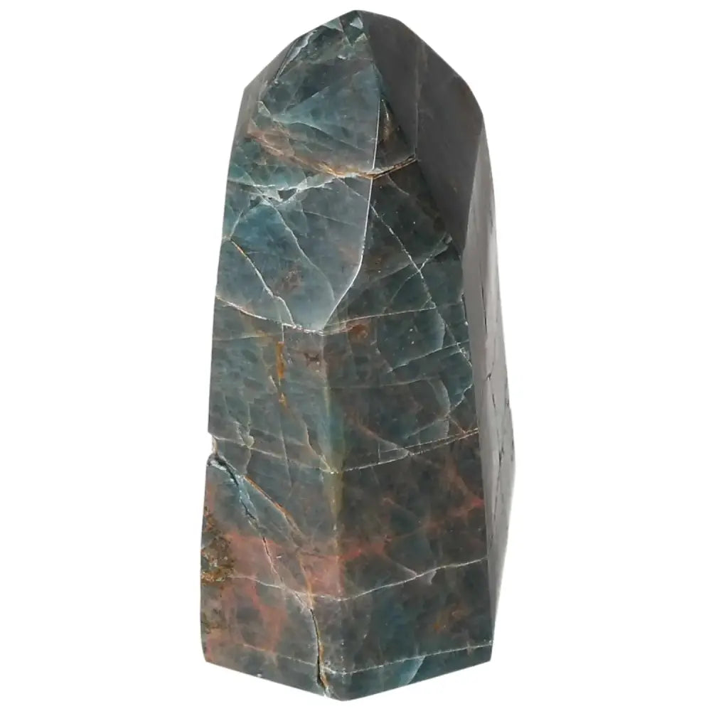 orbitvu|type:image2d