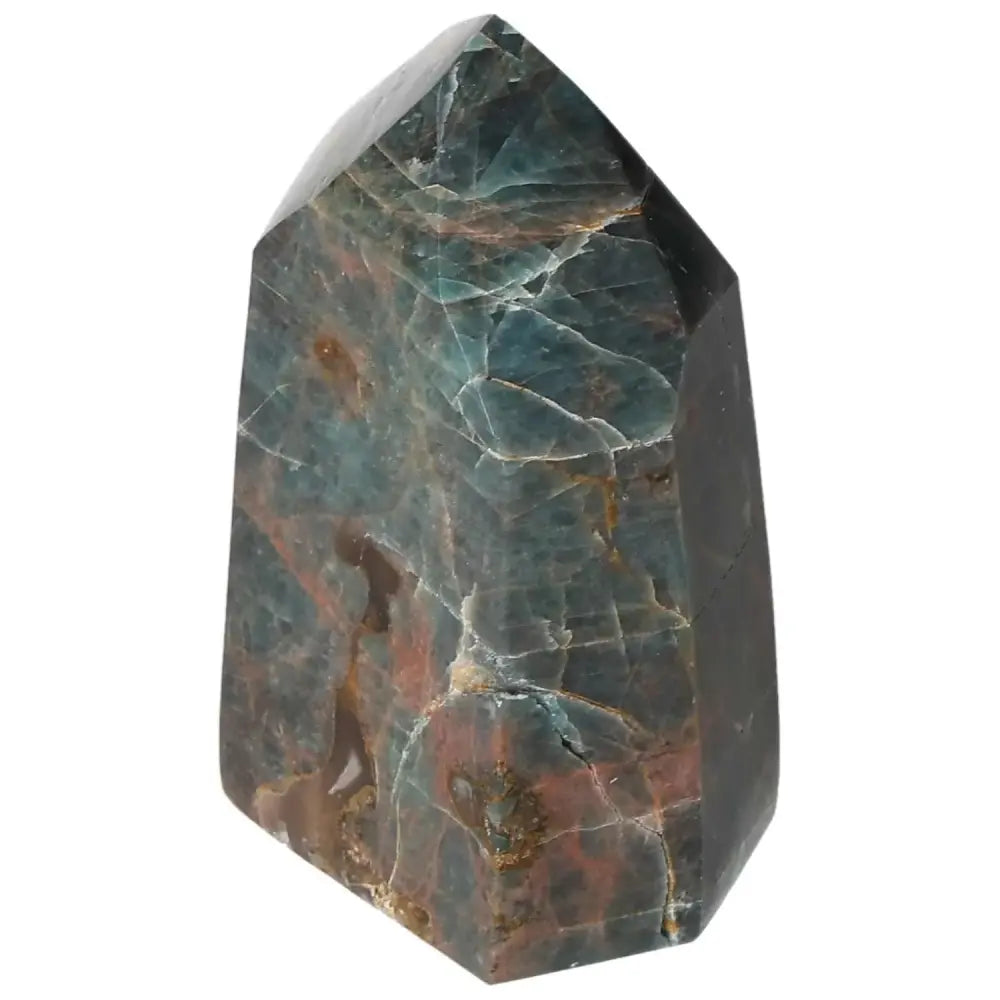 orbitvu|type:image2d