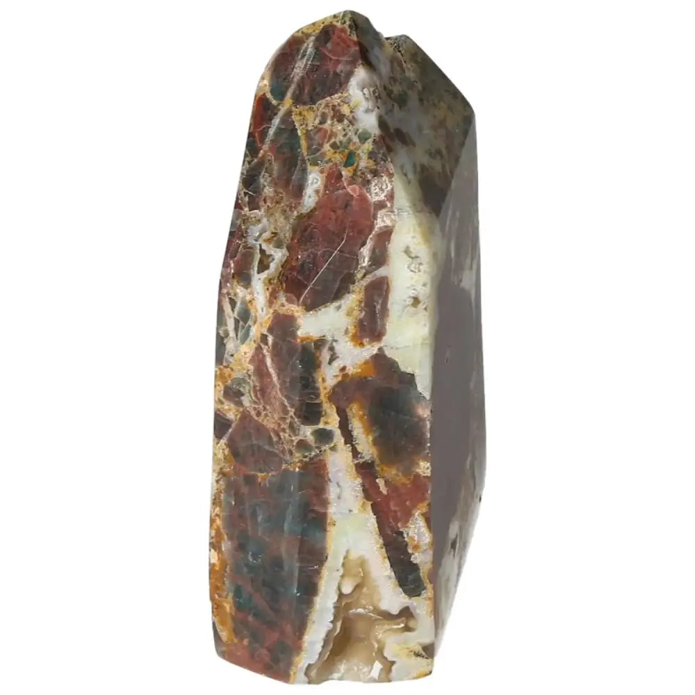 orbitvu|type:image2d