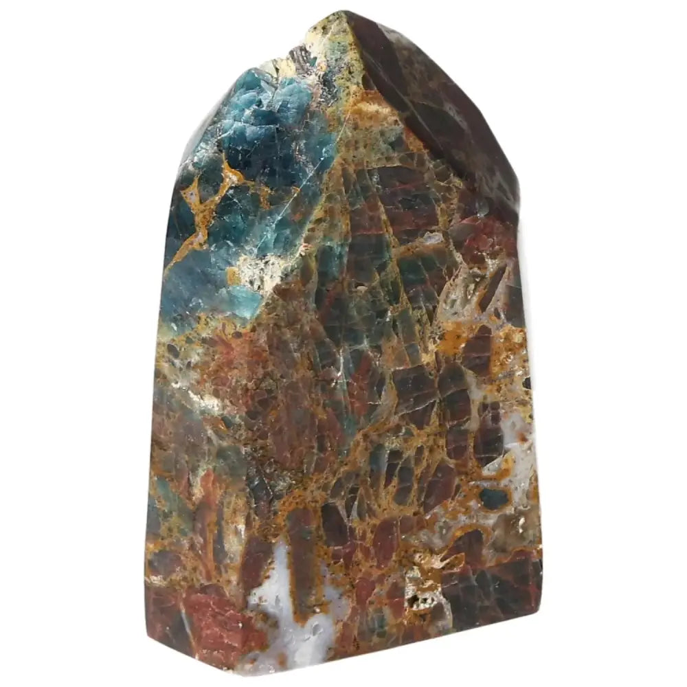 orbitvu|type:image2d