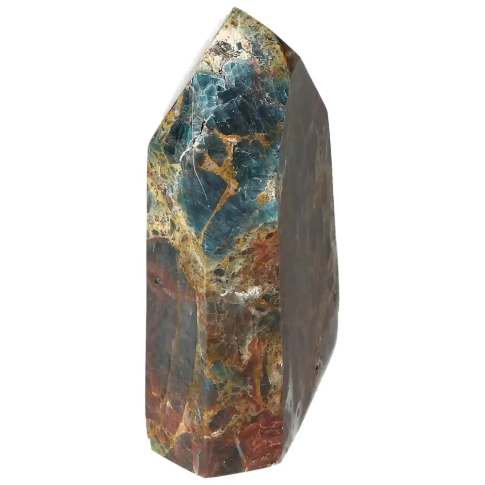 orbitvu|type:image2d