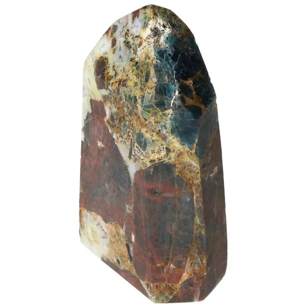 orbitvu|type:image2d