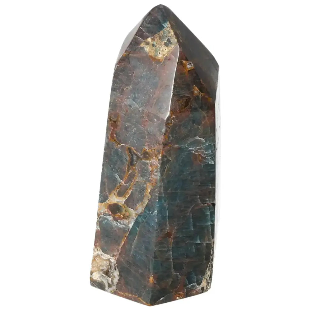 orbitvu|type:image2d