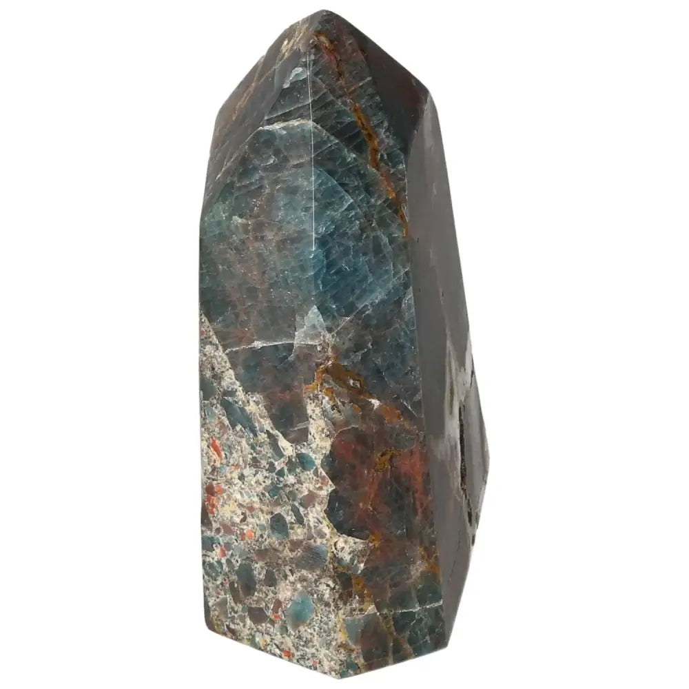 orbitvu|type:image2d