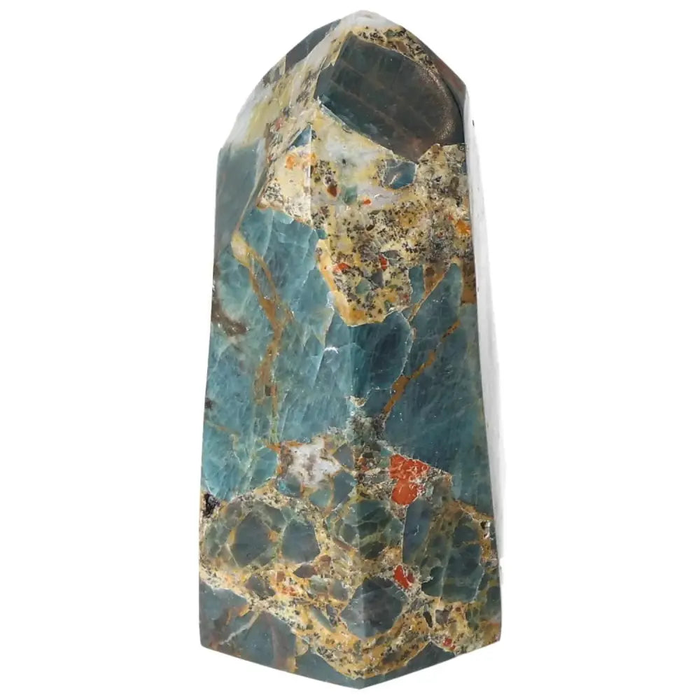 orbitvu|type:image2d