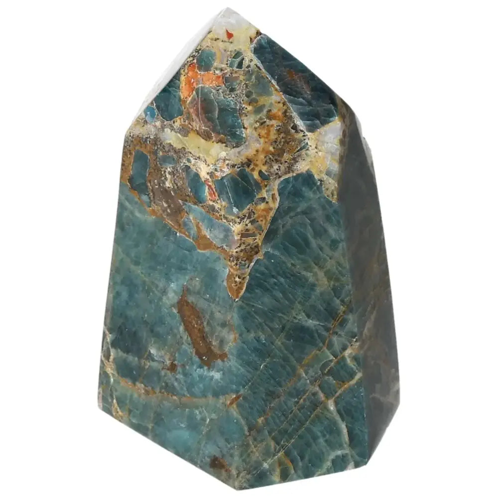 orbitvu|type:image2d