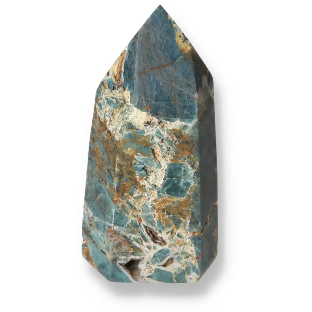 orbitvu|type:ORBITVU 360|https://orbitvu.co/share/4B9SUXi2Tcvpd9V2mU5Bof/6531200/360/iframe