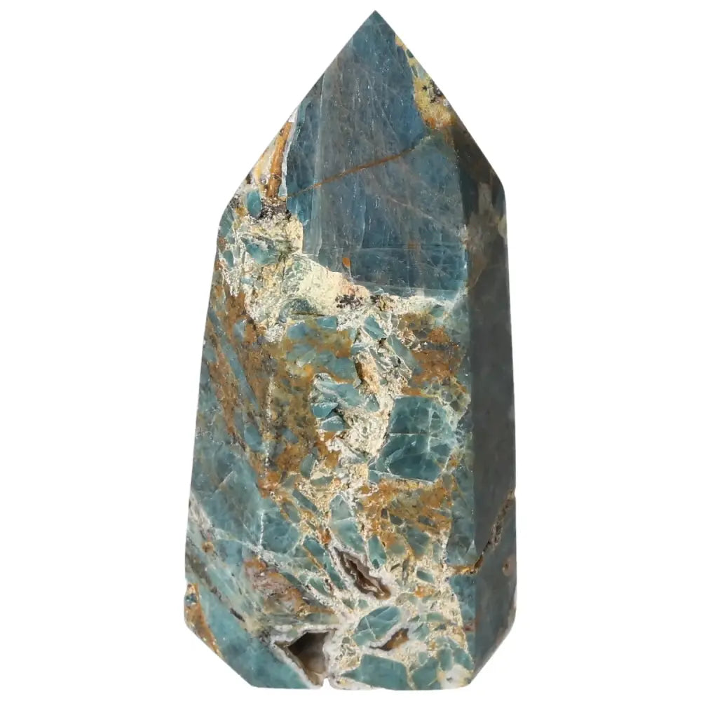 orbitvu|type:image2d