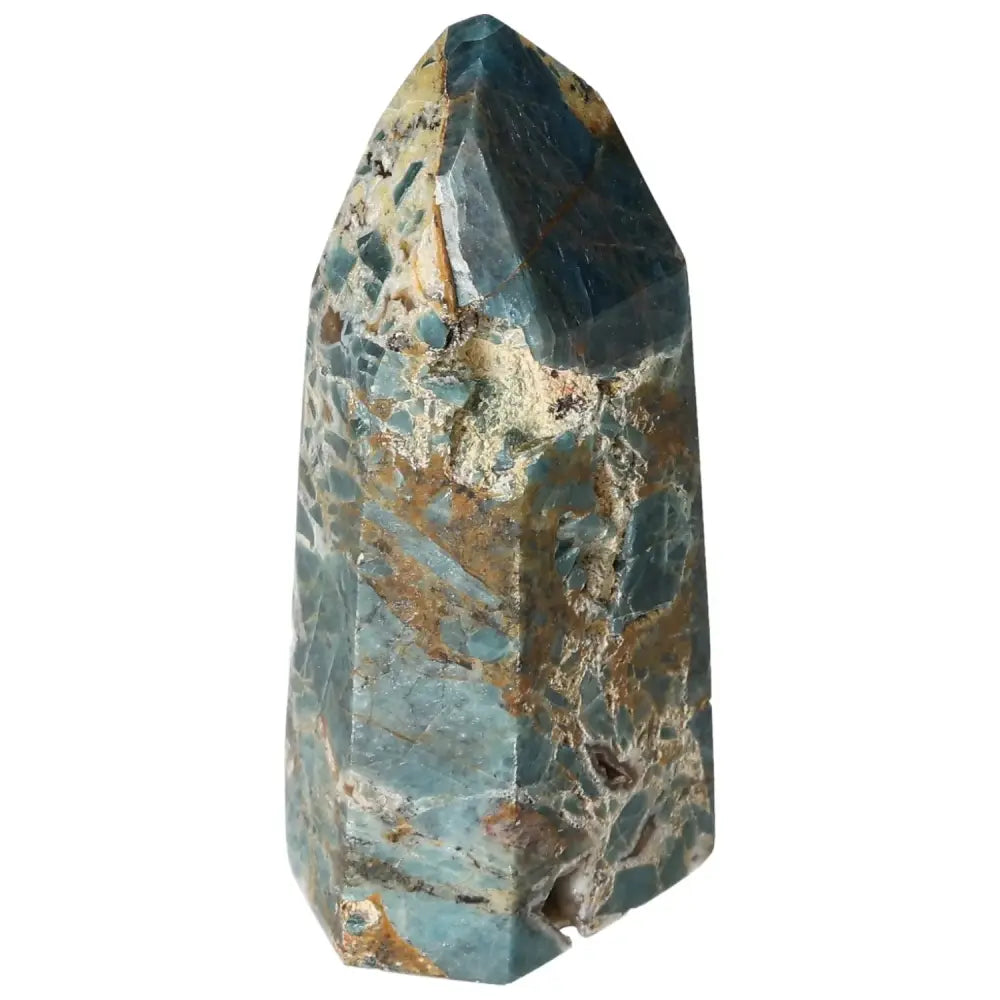 orbitvu|type:image2d