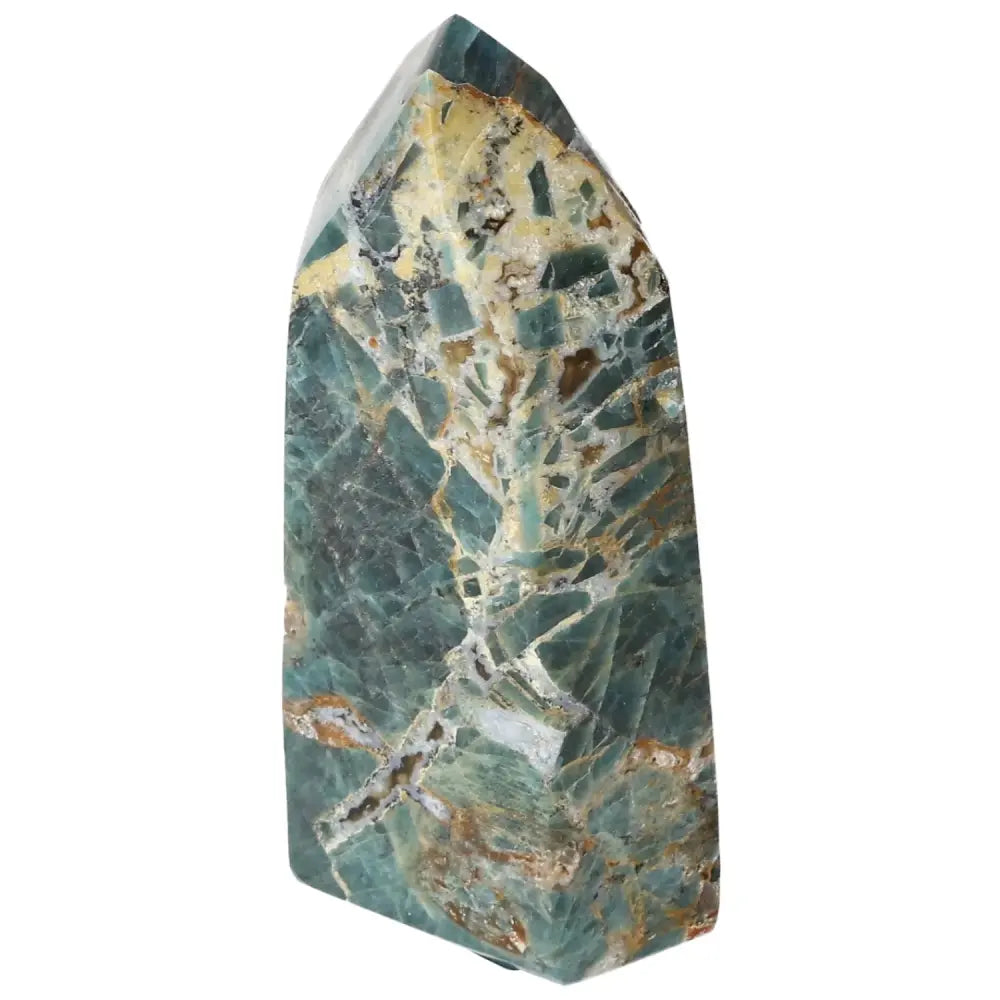 orbitvu|type:image2d