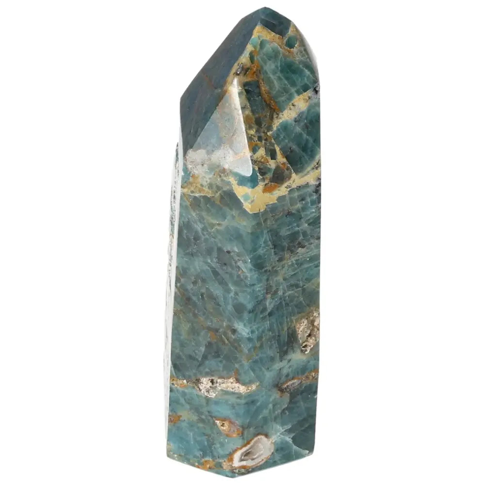 orbitvu|type:image2d