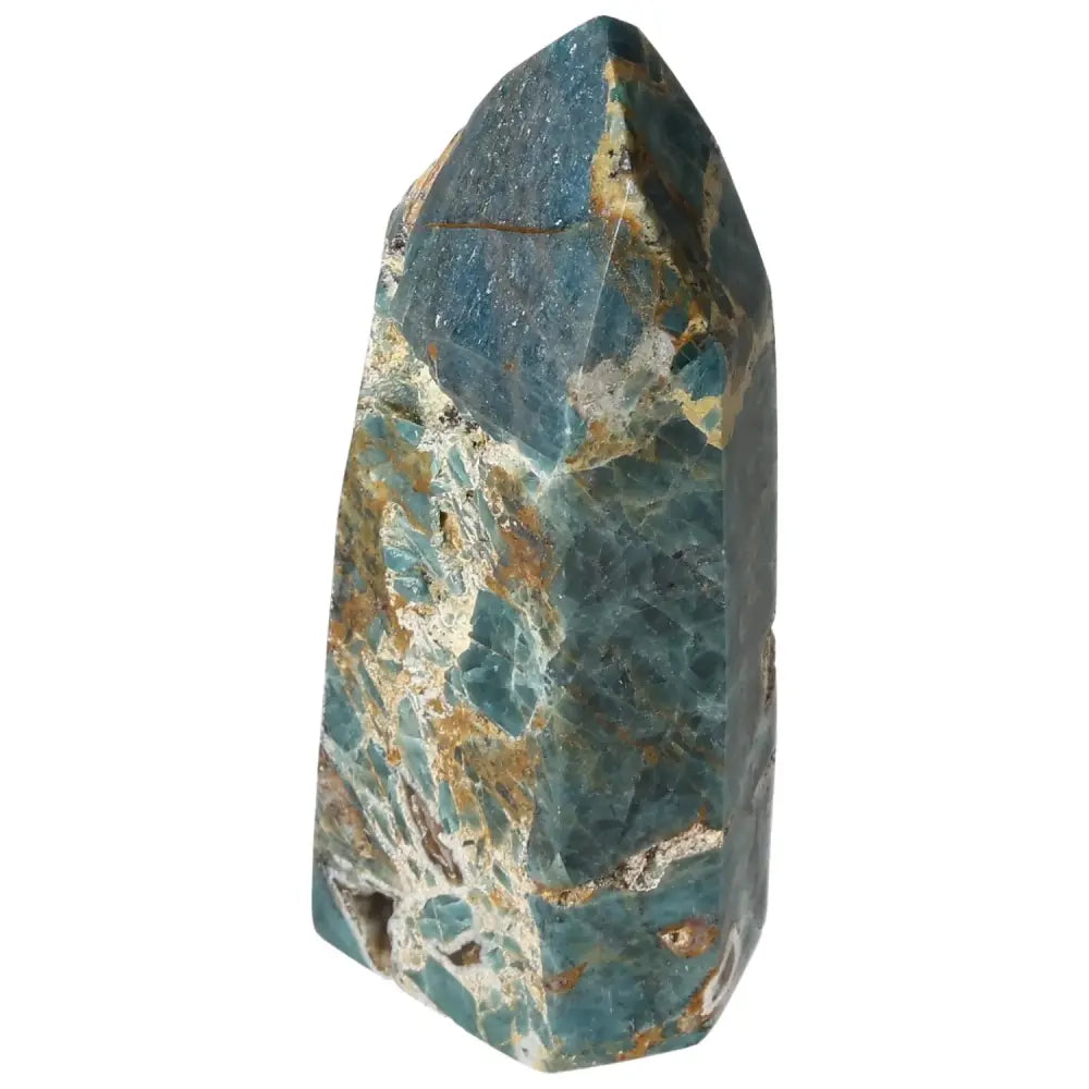 orbitvu|type:image2d