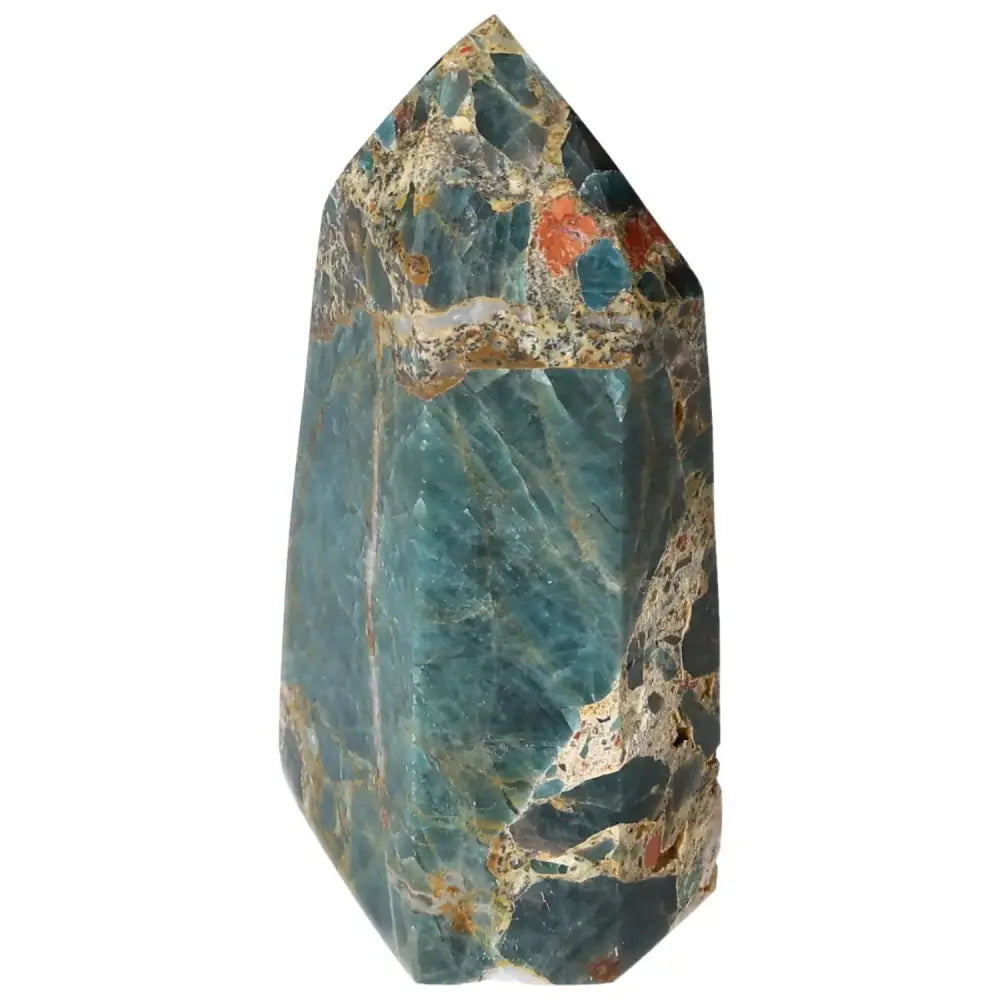 orbitvu|type:image2d