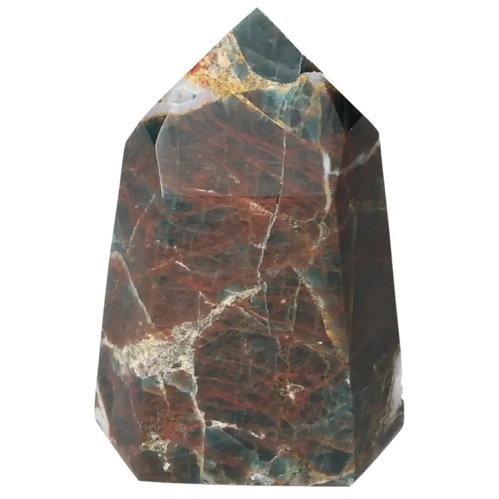 orbitvu|type:image2d