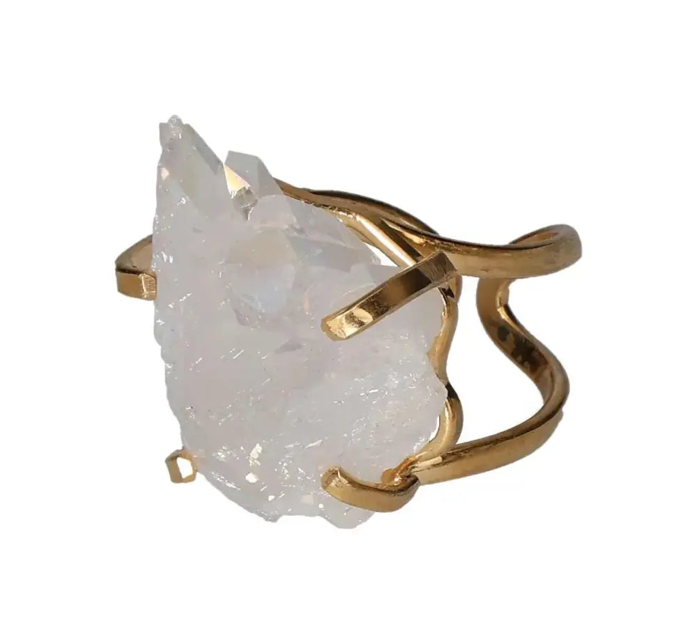 orbitvu|type:image2d