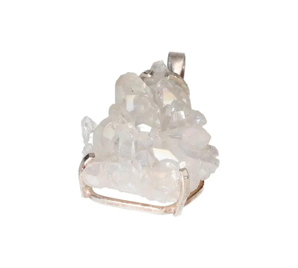 orbitvu|type:image2d