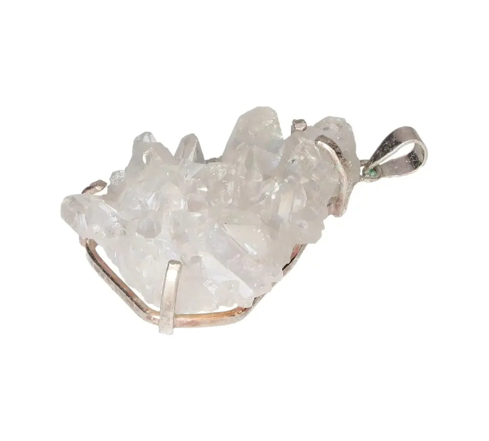 orbitvu|type:image2d