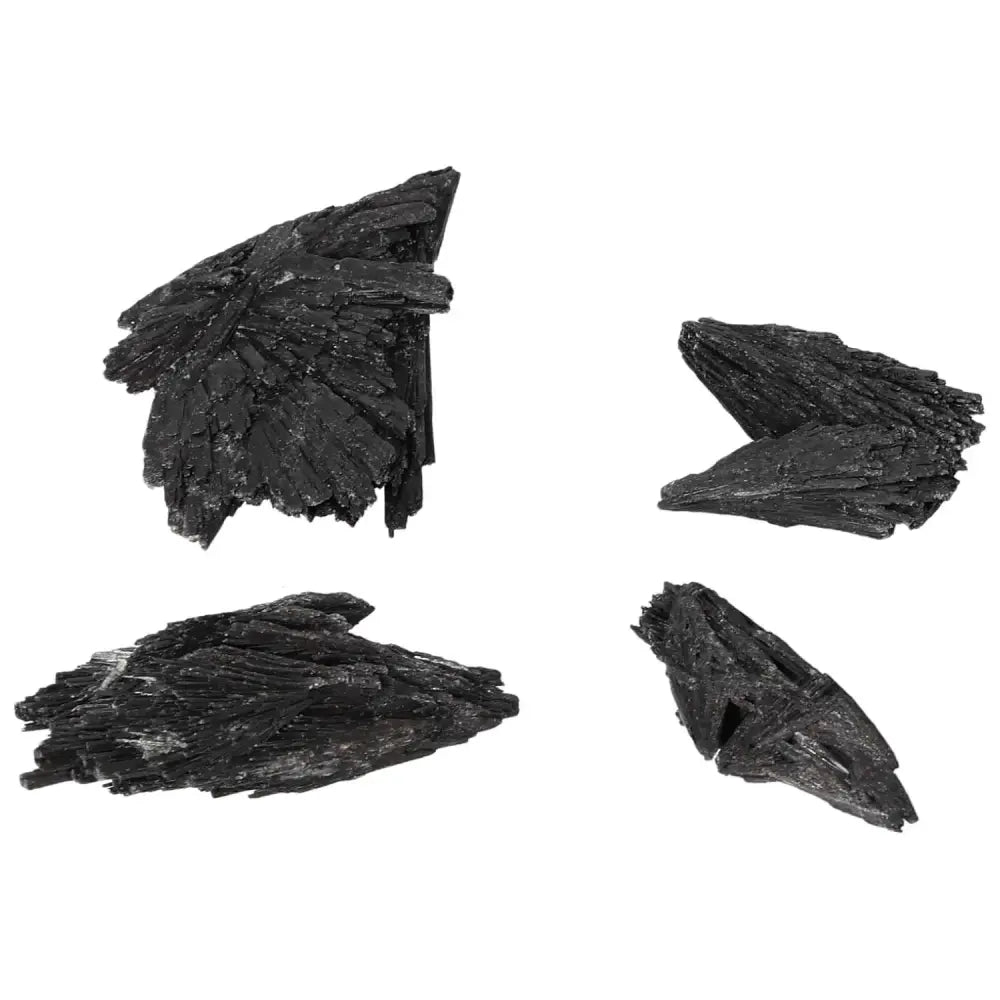 orbitvu|type:image2d