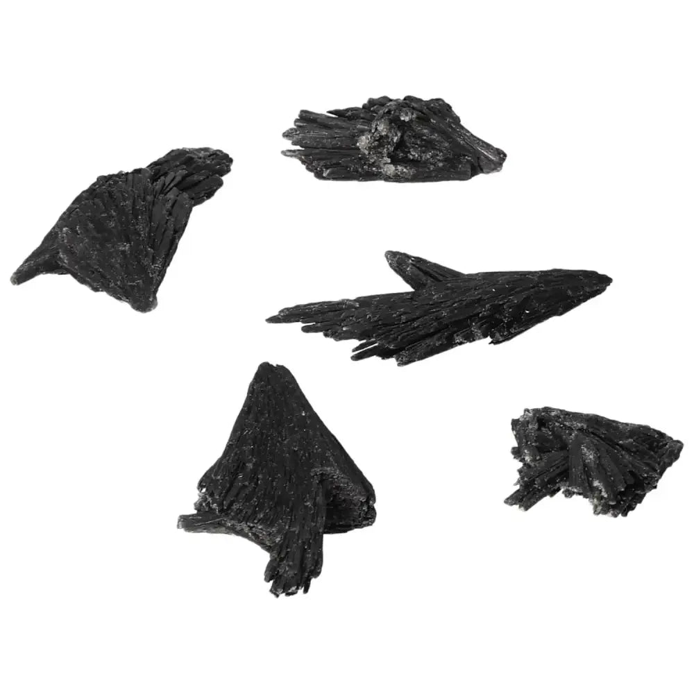 orbitvu|type:image2d