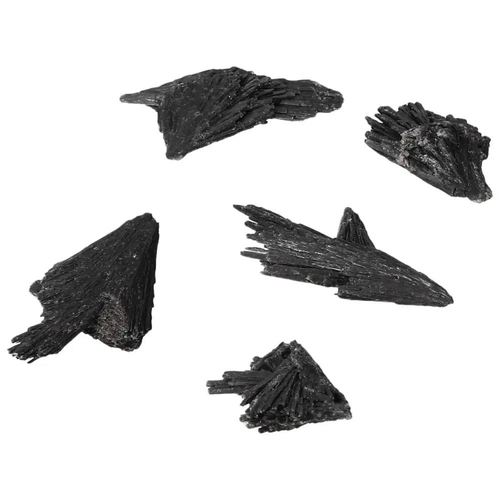 orbitvu|type:image2d