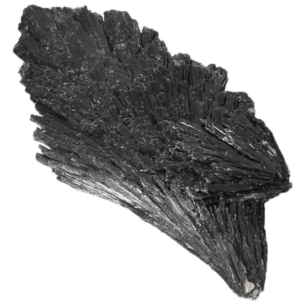 orbitvu|type:image2d