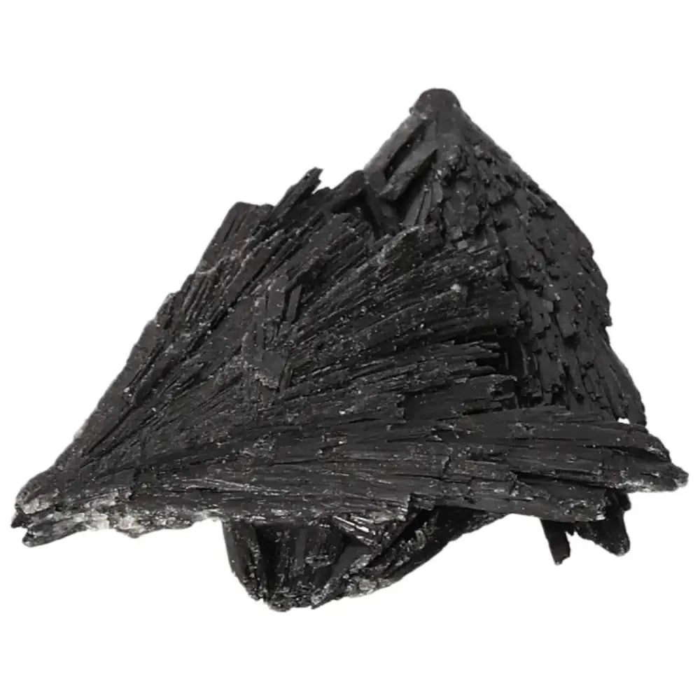 orbitvu|type:image2d