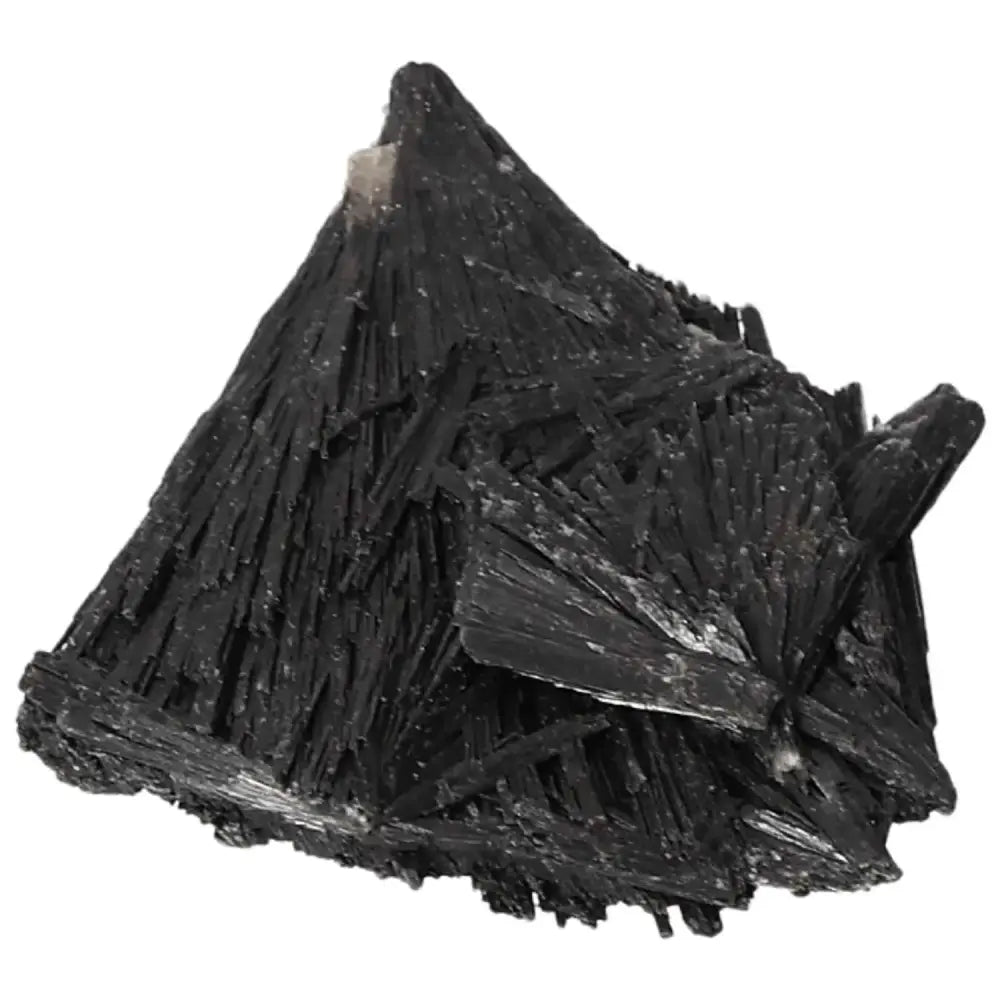 orbitvu|type:image2d