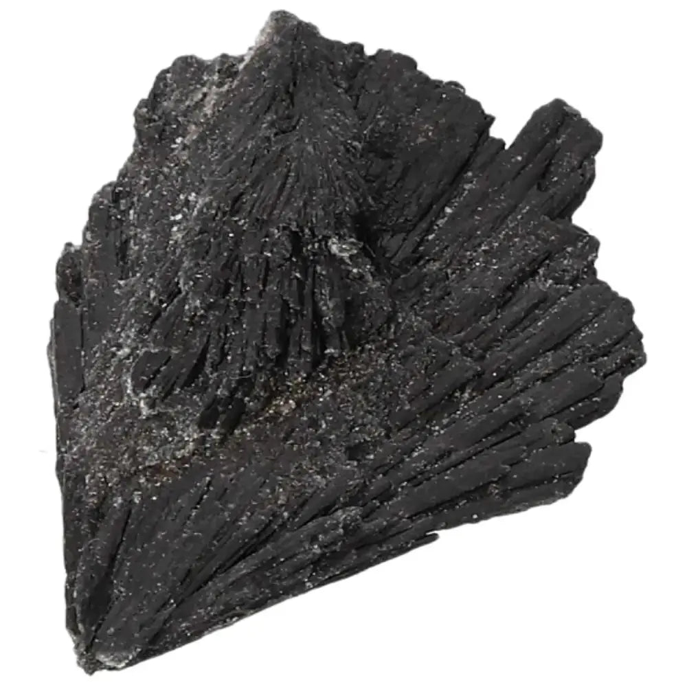 orbitvu|type:image2d