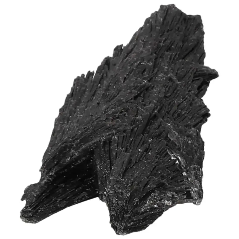 orbitvu|type:image2d