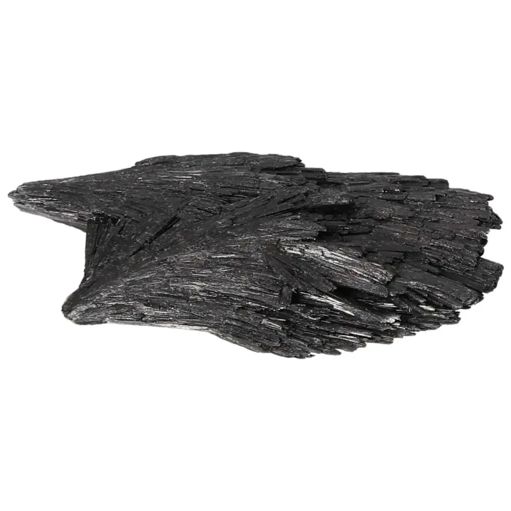 orbitvu|type:image2d