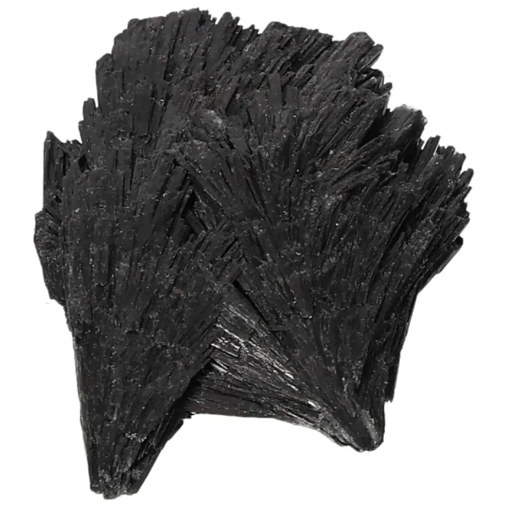 orbitvu|type:image2d