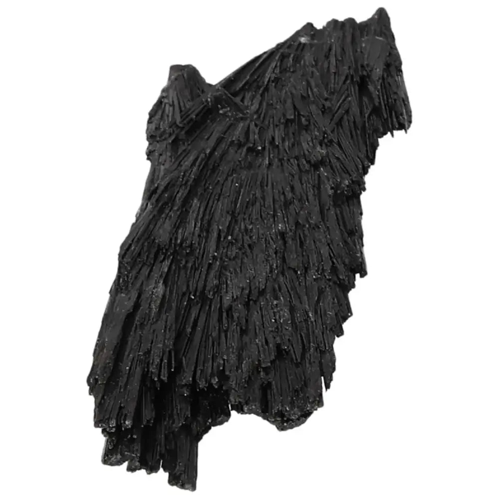 orbitvu|type:image2d