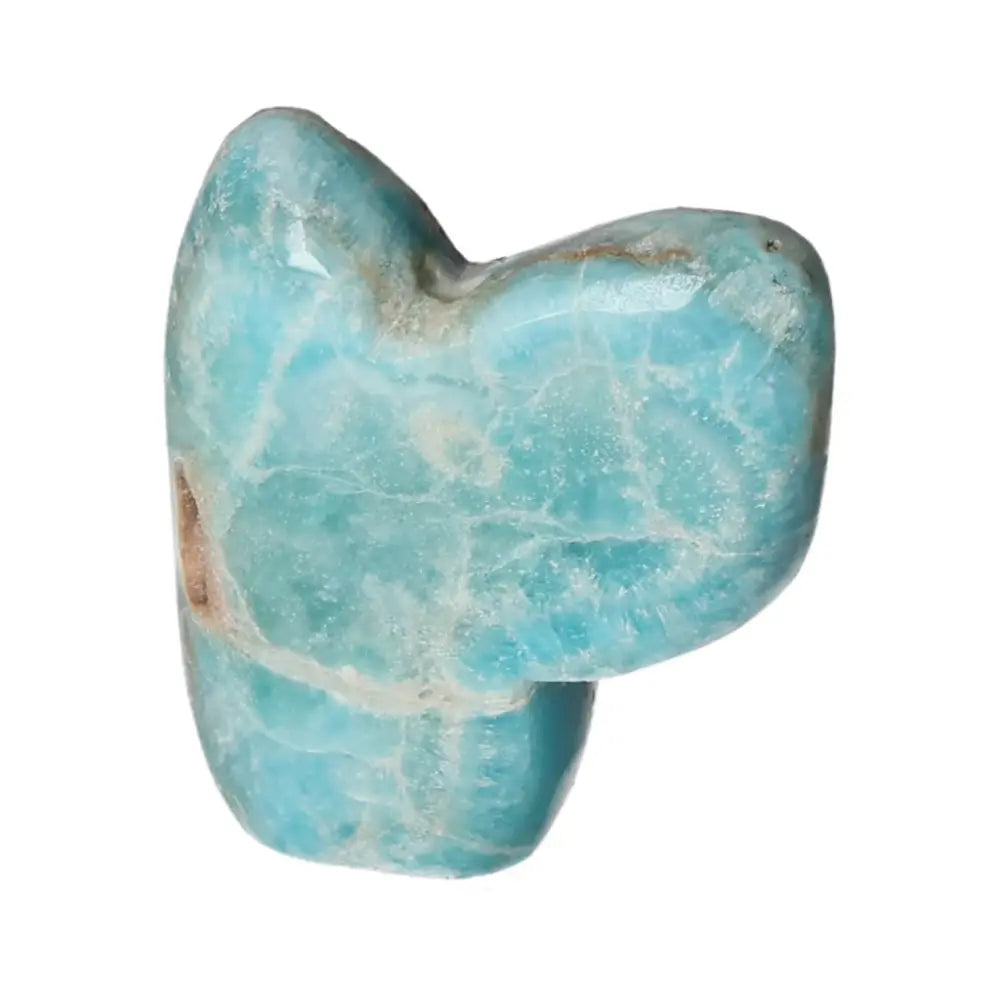 orbitvu|type:ORBITVU 360|https://orbitvu.co/share/mrhgop3w4dfrkTogzxQEHV/6474051/360/iframe