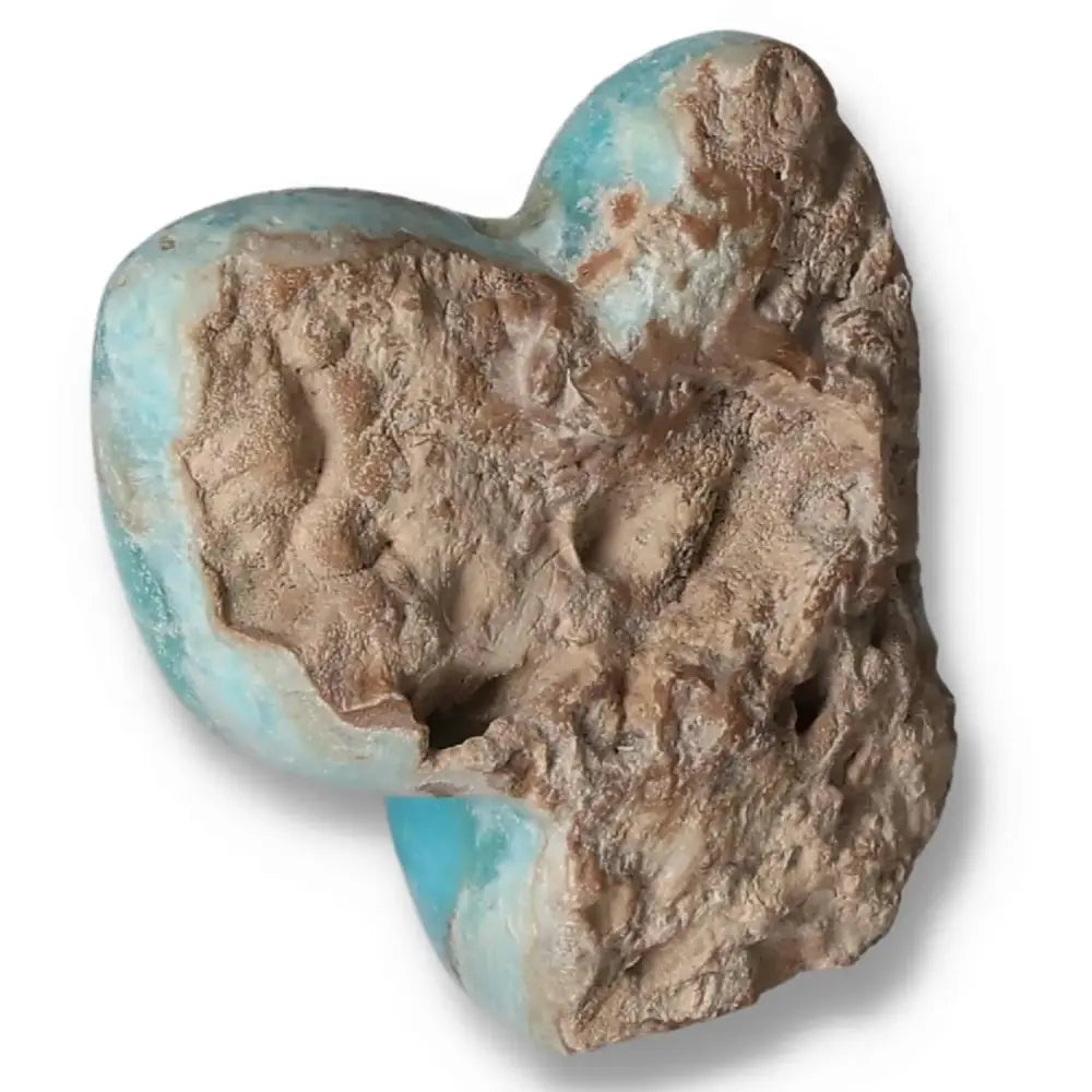 orbitvu|type:image2d