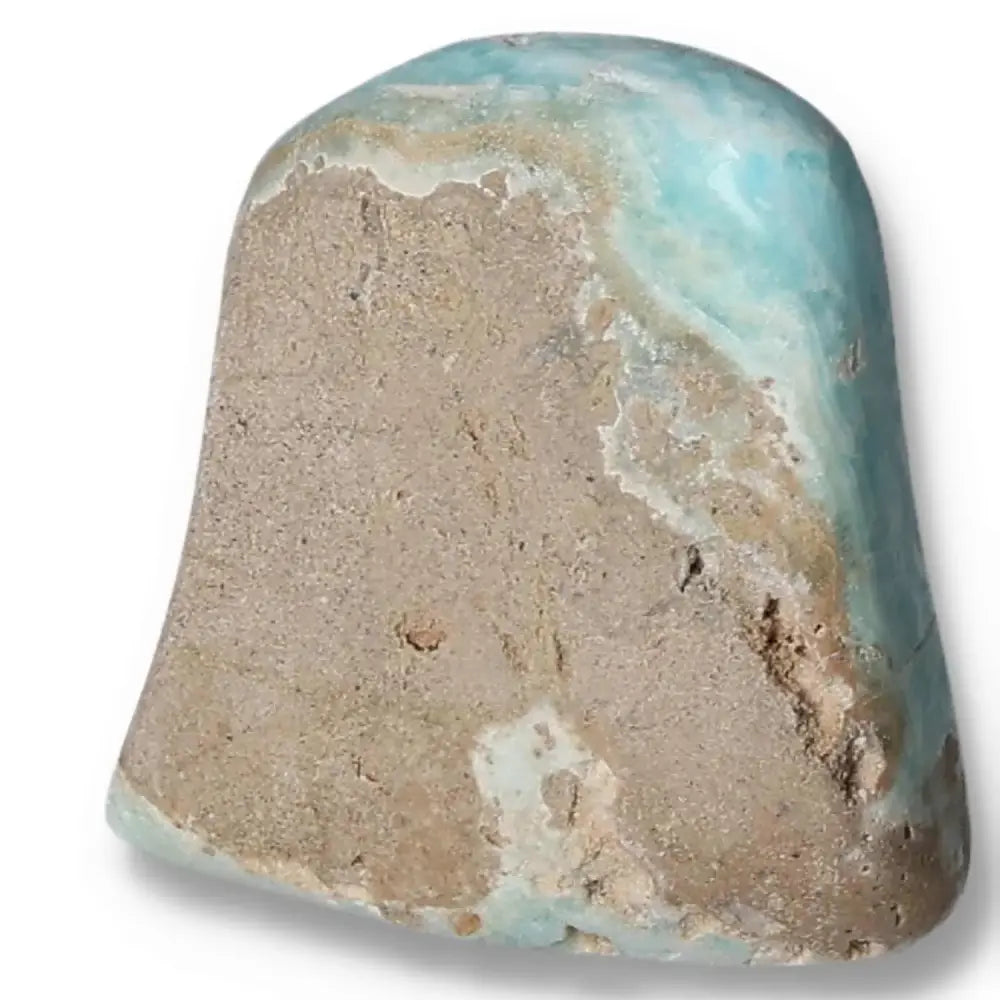 orbitvu|type:image2d