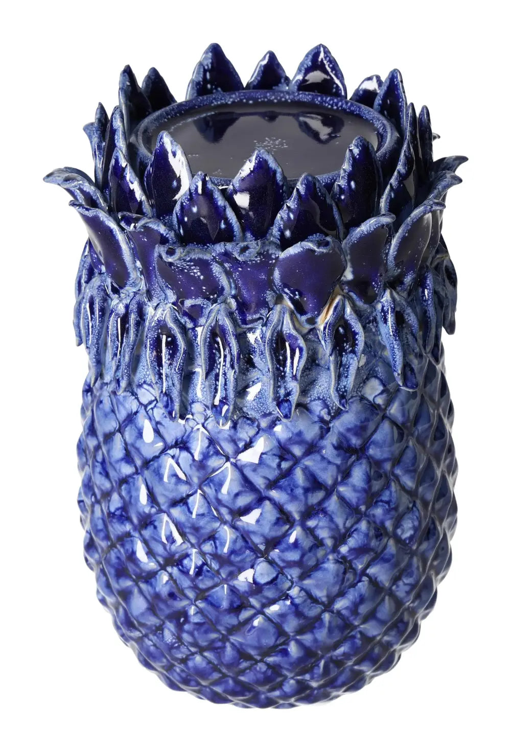 orbitvu|type:image2d