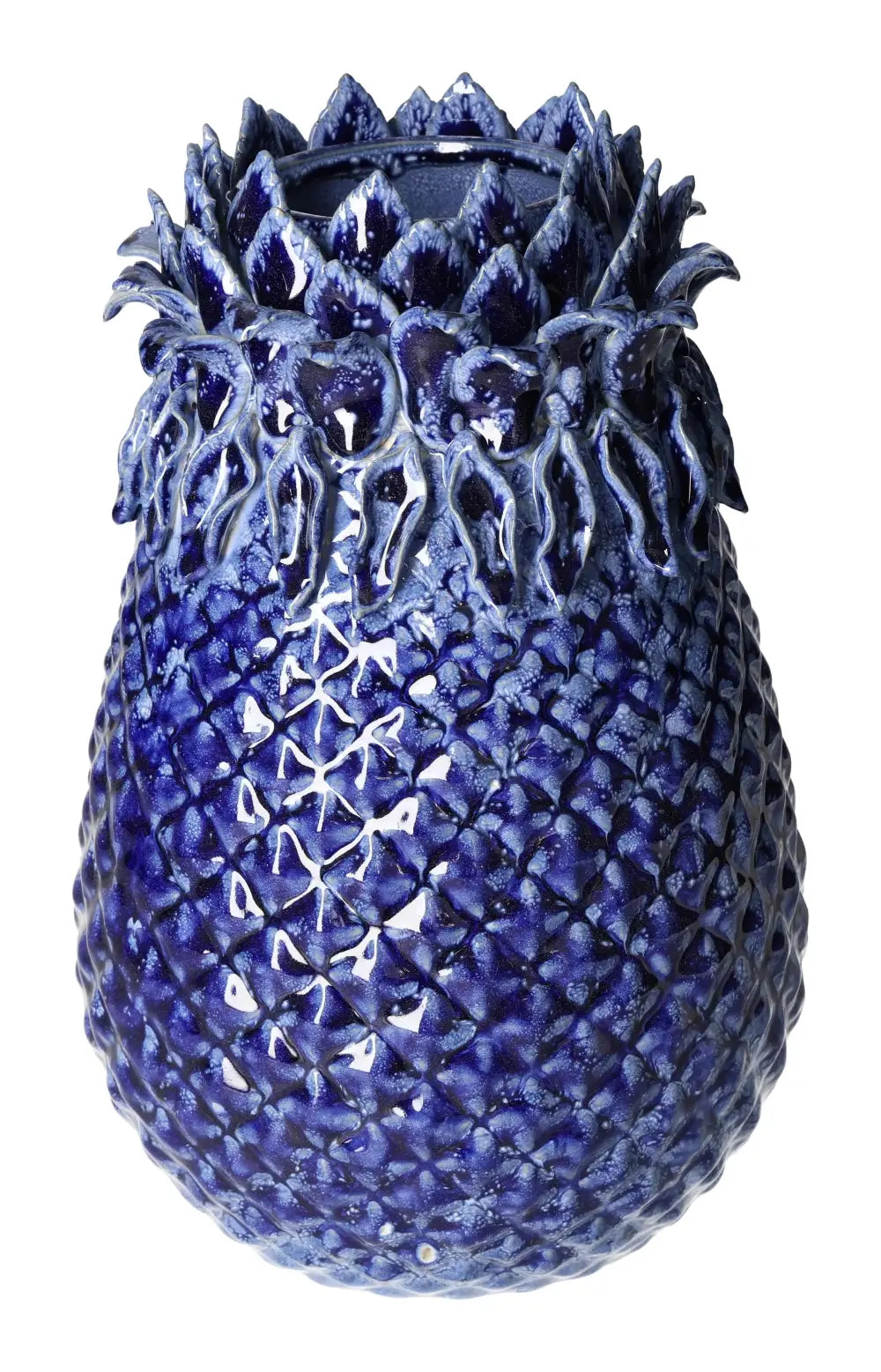 orbitvu|type:image2d