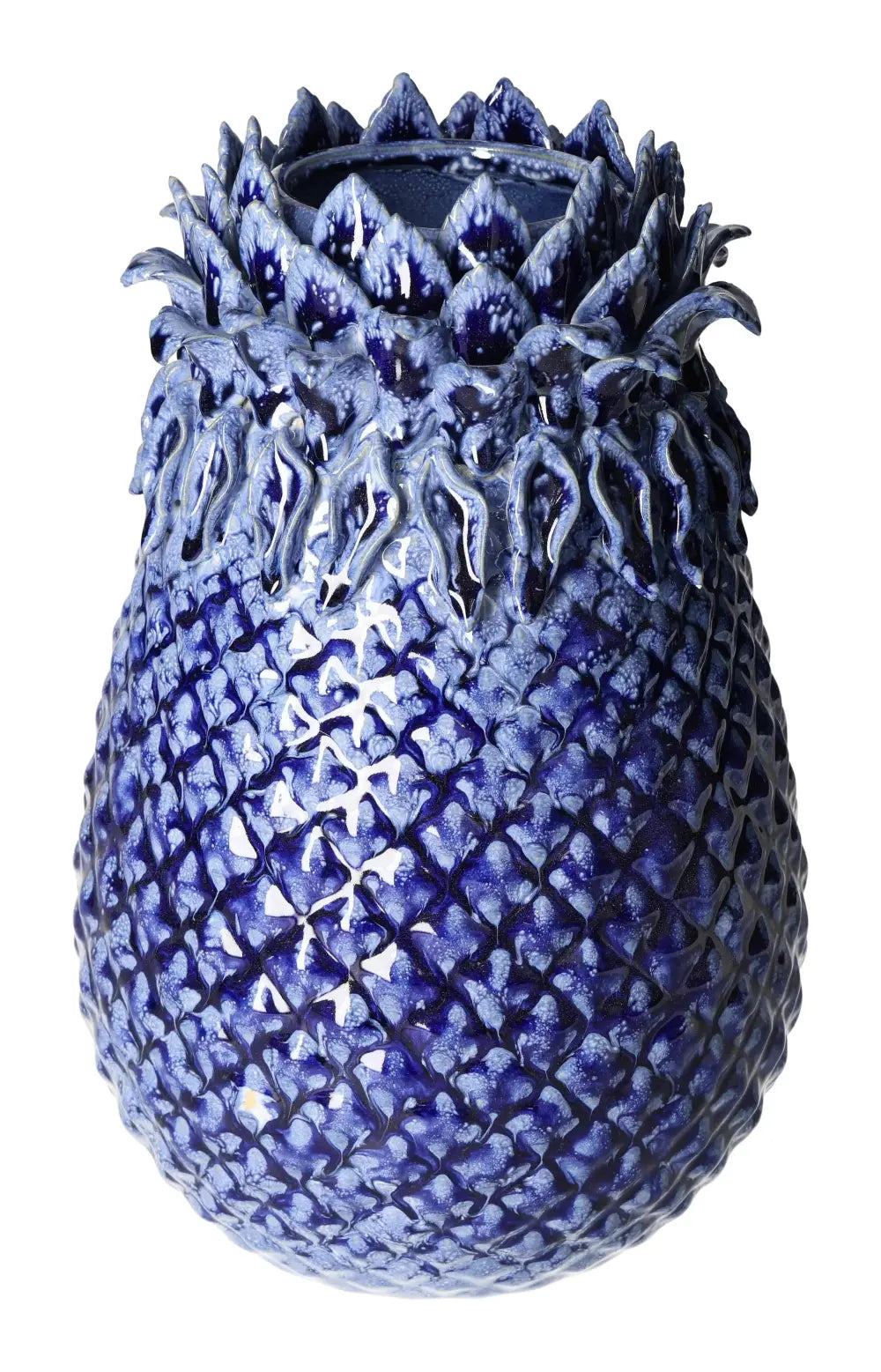 orbitvu|type:image2d