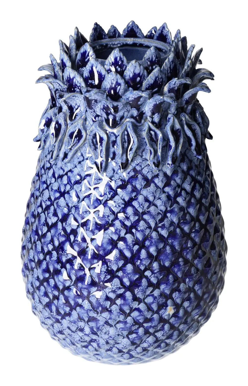 orbitvu|type:image2d